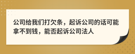 公司给我们打欠条，起诉公司的话可能拿不到钱，能否起诉公司法人