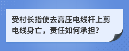 受村长指使去高压电线杆上剪电线身亡，责任如何承担？