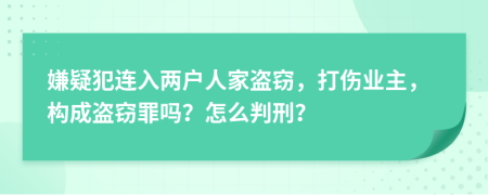 嫌疑犯连入两户人家盗窃，打伤业主，构成盗窃罪吗？怎么判刑？