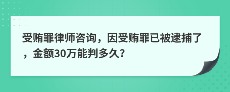 受贿罪律师咨询，因受贿罪已被逮捕了，金额30万能判多久？