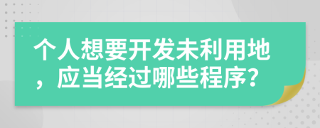 个人想要开发未利用地，应当经过哪些程序？
