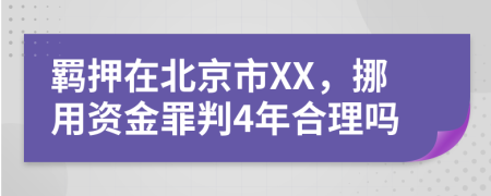 羁押在北京市XX，挪用资金罪判4年合理吗