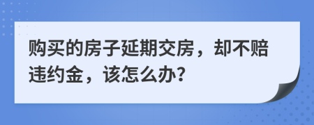 购买的房子延期交房，却不赔违约金，该怎么办？