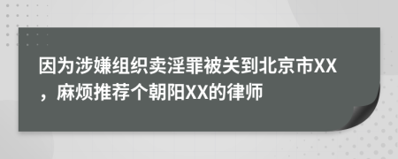 因为涉嫌组织卖淫罪被关到北京市XX，麻烦推荐个朝阳XX的律师