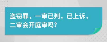 盗窃罪，一审已判，已上诉，二审会开庭审吗？