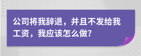 公司将我辞退，并且不发给我工资，我应该怎么做？