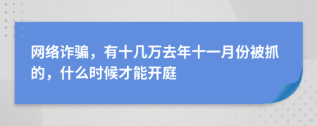 网络诈骗，有十几万去年十一月份被抓的，什么时候才能开庭