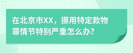 在北京市XX，挪用特定款物罪情节特别严重怎么办？