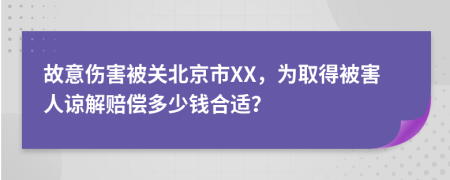 故意伤害被关北京市XX，为取得被害人谅解赔偿多少钱合适？