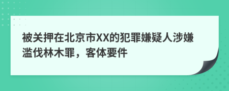 被关押在北京市XX的犯罪嫌疑人涉嫌滥伐林木罪，客体要件