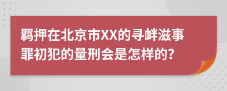 羁押在北京市XX的寻衅滋事罪初犯的量刑会是怎样的？