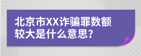 北京市XX诈骗罪数额较大是什么意思？