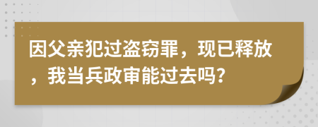 因父亲犯过盗窃罪，现已释放，我当兵政审能过去吗？