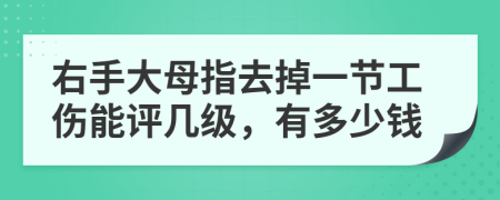 右手大母指去掉一节工伤能评几级，有多少钱