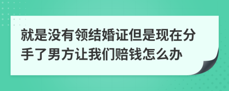 就是没有领结婚证但是现在分手了男方让我们赔钱怎么办