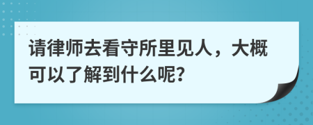 请律师去看守所里见人，大概可以了解到什么呢？