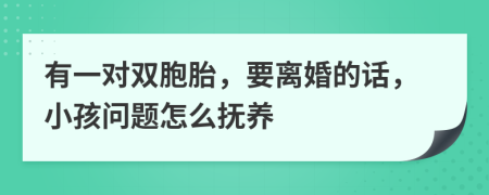 有一对双胞胎，要离婚的话，小孩问题怎么抚养