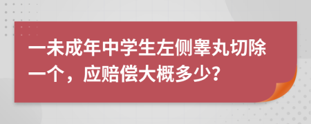 一未成年中学生左侧睾丸切除一个，应赔偿大概多少？