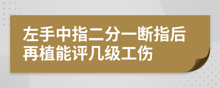 左手中指二分一断指后再植能评几级工伤