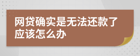 网贷确实是无法还款了应该怎么办