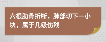 六根肋骨折断，肺部切下一小块，属于几级伤残