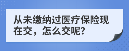 从未缴纳过医疗保险现在交，怎么交呢？