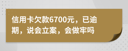 信用卡欠款6700元，已逾期，说会立案，会做牢吗