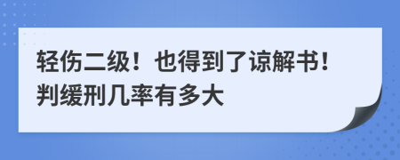 轻伤二级！也得到了谅解书！判缓刑几率有多大