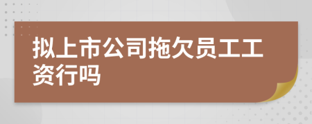 拟上市公司拖欠员工工资行吗