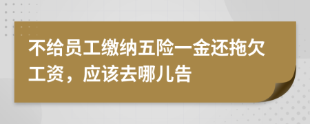 不给员工缴纳五险一金还拖欠工资，应该去哪儿告