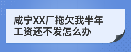 咸宁XX厂拖欠我半年工资还不发怎么办