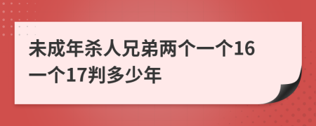 未成年杀人兄弟两个一个16一个17判多少年