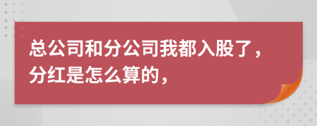 总公司和分公司我都入股了，分红是怎么算的，