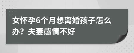 女怀孕6个月想离婚孩子怎么办？夫妻感情不好