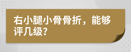 右小腿小骨骨折，能够评几级？