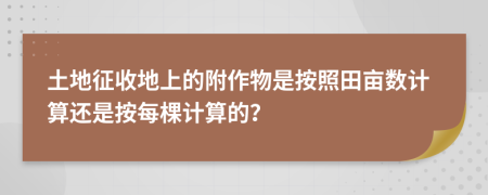 土地征收地上的附作物是按照田亩数计算还是按每棵计算的？