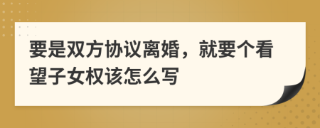 要是双方协议离婚，就要个看望子女权该怎么写