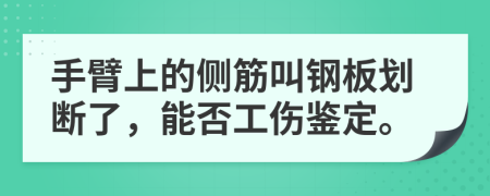 手臂上的侧筋叫钢板划断了，能否工伤鉴定。