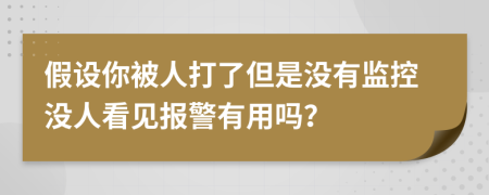 假设你被人打了但是没有监控没人看见报警有用吗？