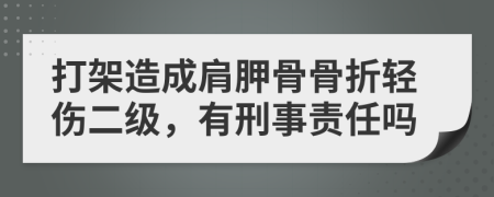 打架造成肩胛骨骨折轻伤二级，有刑事责任吗