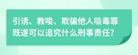 引诱、教唆、欺骗他人吸毒罪既遂可以追究什么刑事责任?