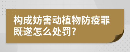 构成妨害动植物防疫罪既遂怎么处罚?