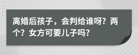 离婚后孩子，会判给谁呀？两个？女方可要儿子吗？