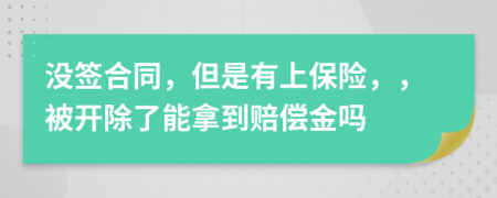 没签合同，但是有上保险，，被开除了能拿到赔偿金吗