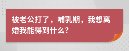 被老公打了，哺乳期，我想离婚我能得到什么？