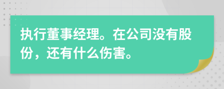 执行董事经理。在公司没有股份，还有什么伤害。