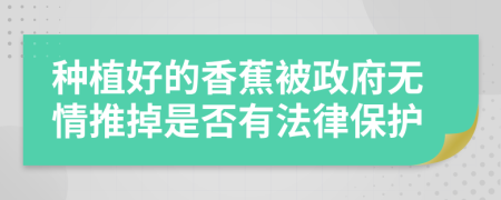 种植好的香蕉被政府无情推掉是否有法律保护