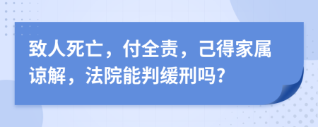 致人死亡，付全责，己得家属谅解，法院能判缓刑吗?