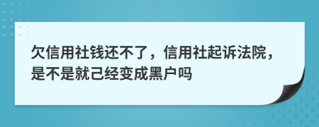 欠信用社钱还不了，信用社起诉法院，是不是就己经变成黑户吗