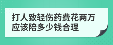 打人致轻伤药费花两万应该陪多少钱合理